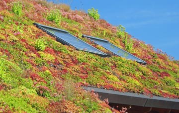 Wilton living roof systems